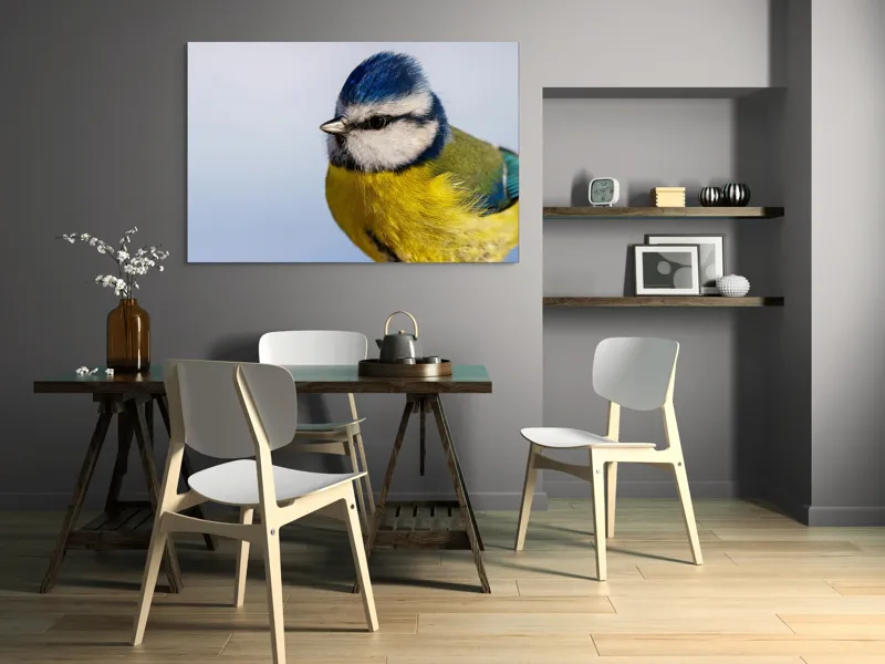 Tablou Canvas, "Albastrul cerului pe aripi delicate", Albastru, Galben, Delicat, Natură, Pene, Viu, Ochi, Contrast, Plăcut, Armonios, 150 x 100 cm – poza 5
