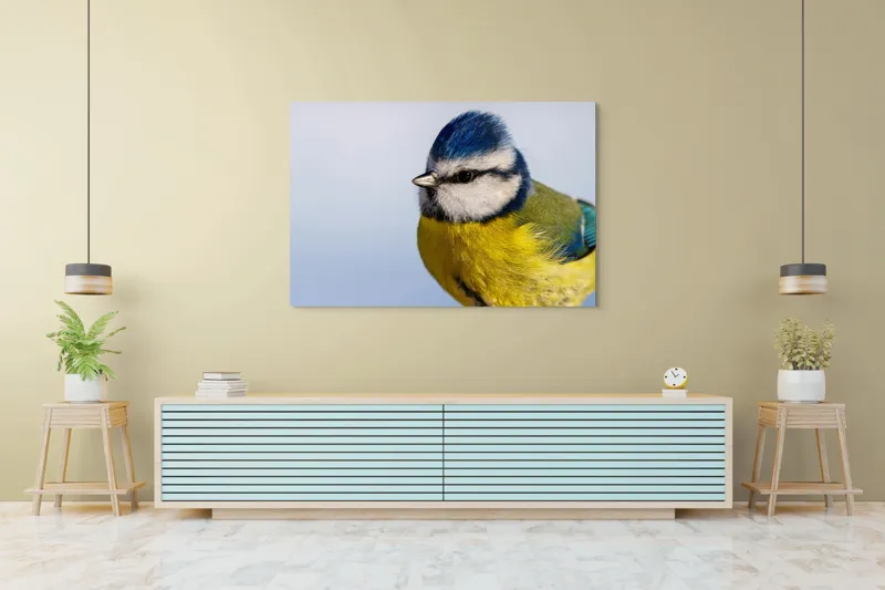 Tablou Canvas, "Albastrul cerului pe aripi delicate", Albastru, Galben, Delicat, Natură, Pene, Viu, Ochi, Contrast, Plăcut, Armonios, 150 x 100 cm – poza 6