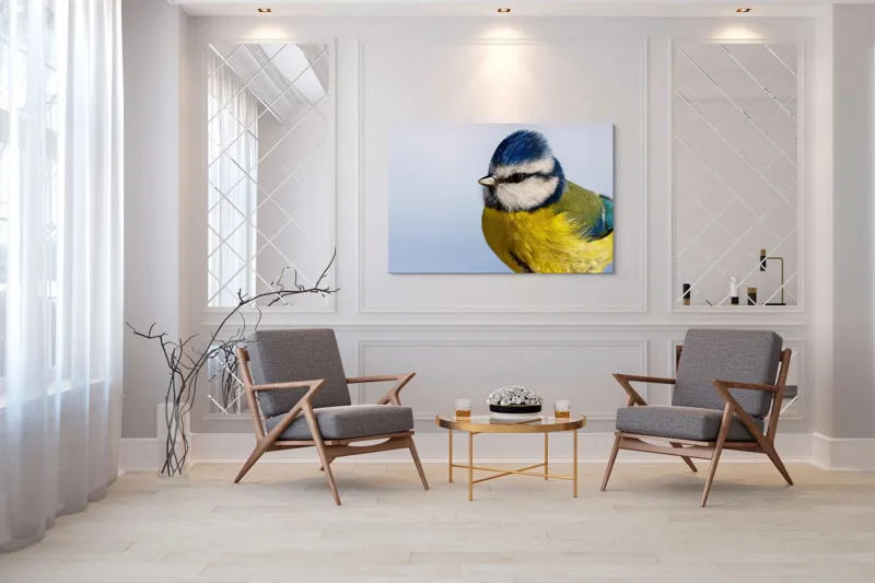 Tablou Canvas, "Albastrul cerului pe aripi delicate", Albastru, Galben, Delicat, Natură, Pene, Viu, Ochi, Contrast, Plăcut, Armonios, 150 x 100 cm – poza 7