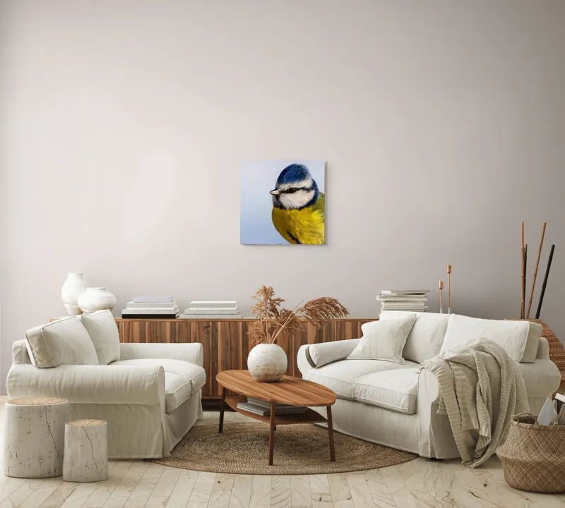 Tablou Canvas, "Albastrul cerului pe aripi delicate", Albastru, Galben, Delicat, Natură, Pene, Viu, Ochi, Contrast, Plăcut, Armonios, 50 x 50 cm – poza 7