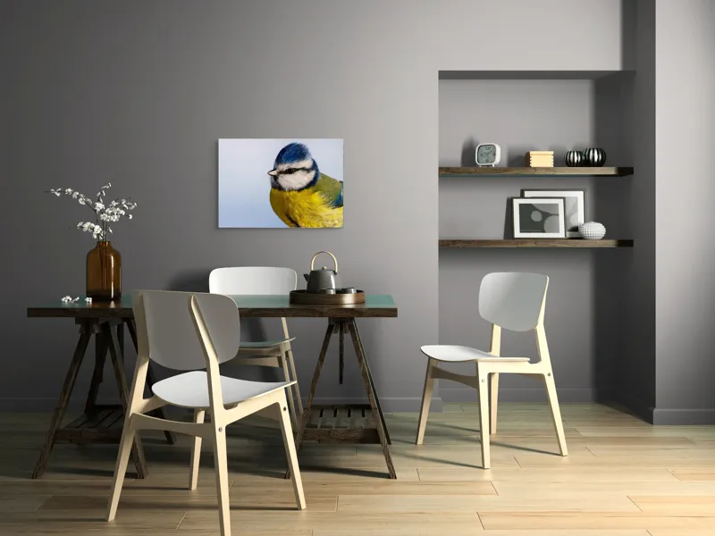 Tablou Canvas, "Albastrul cerului pe aripi delicate", Albastru, Galben, Delicat, Natură, Pene, Viu, Ochi, Contrast, Plăcut, Armonios, 70 x 50 cm – poza 5