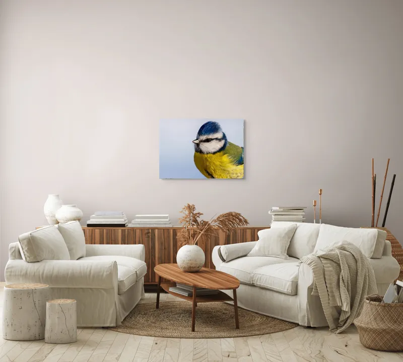 Tablou Canvas, "Albastrul cerului pe aripi delicate", Albastru, Galben, Delicat, Natură, Pene, Viu, Ochi, Contrast, Plăcut, Armonios, 70 x 50 cm – poza 6