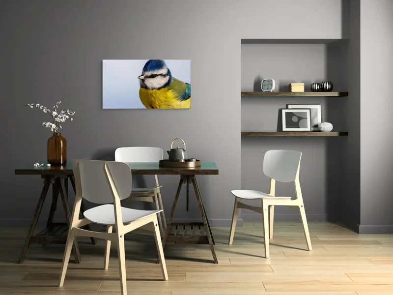 Tablou Canvas, "Albastrul cerului pe aripi delicate", Albastru, Galben, Delicat, Natură, Pene, Viu, Ochi, Contrast, Plăcut, Armonios, 90 x 50 cm – poza 3