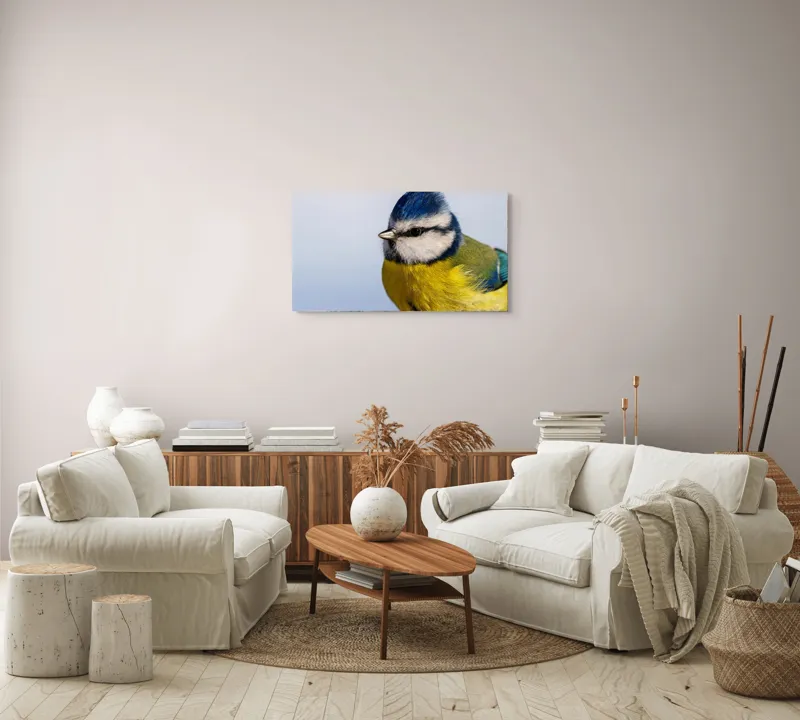 Tablou Canvas, "Albastrul cerului pe aripi delicate", Albastru, Galben, Delicat, Natură, Pene, Viu, Ochi, Contrast, Plăcut, Armonios, 90 x 50 cm – poza 4