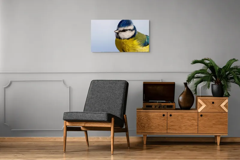 Tablou Canvas, "Albastrul cerului pe aripi delicate", Albastru, Galben, Delicat, Natură, Pene, Viu, Ochi, Contrast, Plăcut, Armonios, 90 x 50 cm – poza 6