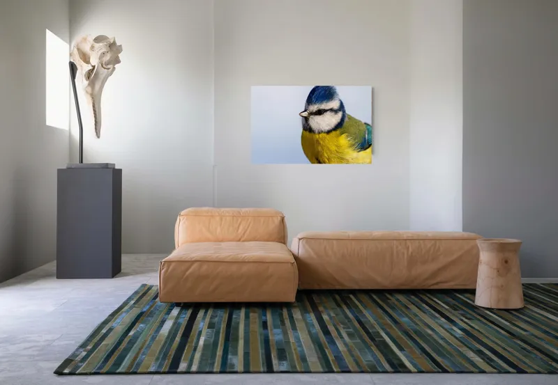 Tablou Canvas, "Albastrul cerului pe aripi delicate", Albastru, Galben, Delicat, Natură, Pene, Viu, Ochi, Contrast, Plăcut, Armonios, 90 x 50 cm – poza 8