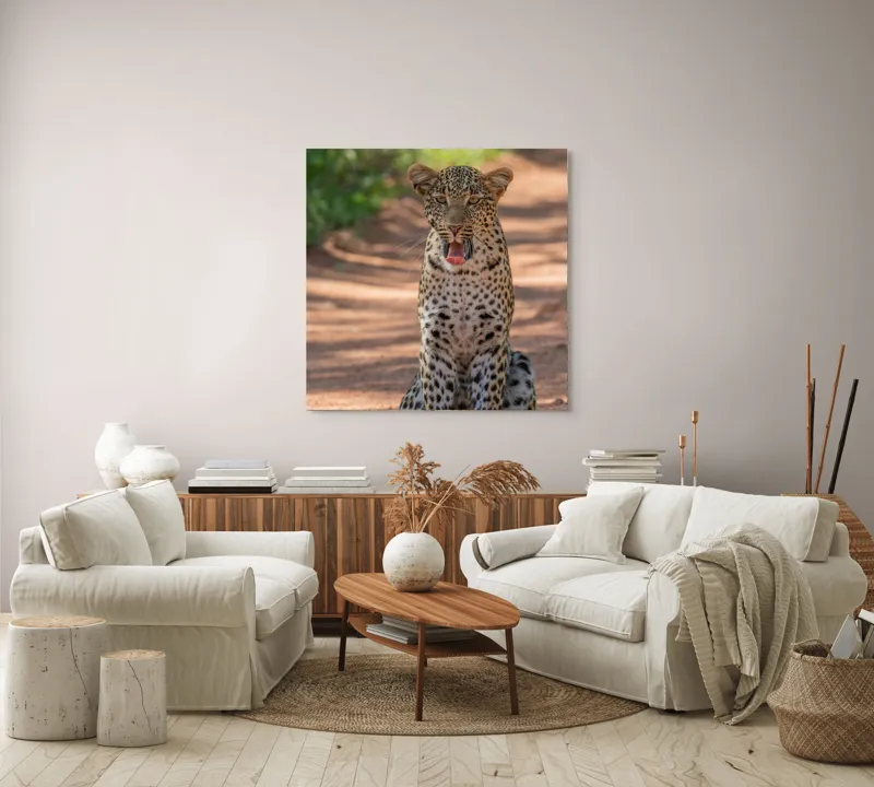 Tablou Canvas, "Leopard odihnindu-se pe potecă însorită", Leopard, Pistrui, Eleganță, Natură, Prădător, Adăpost, Blană, Putere, 100 x 100 cm – poza 3
