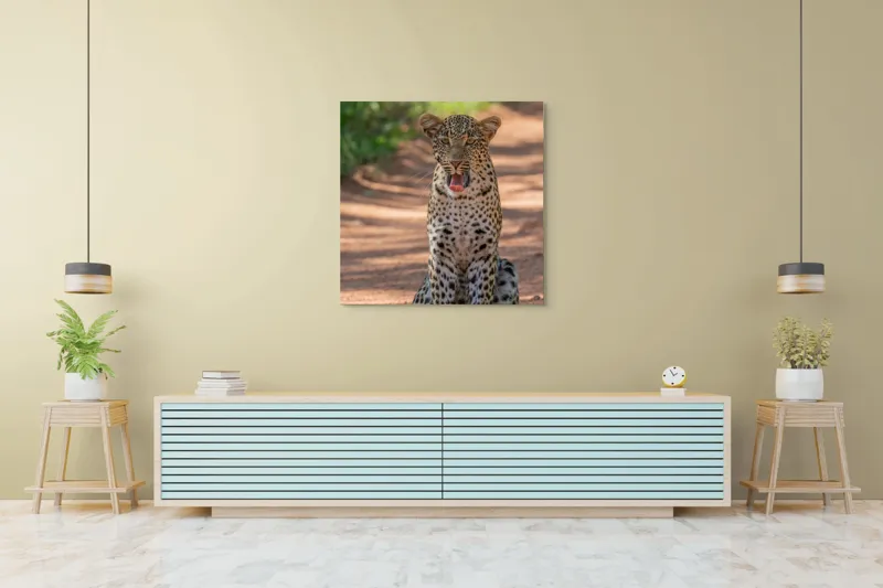 Tablou Canvas, "Leopard odihnindu-se pe potecă însorită", Leopard, Pistrui, Eleganță, Natură, Prădător, Adăpost, Blană, Putere, 100 x 100 cm – poza 5