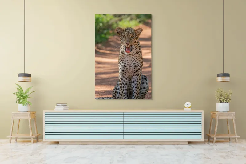 Tablou Canvas, "Leopard odihnindu-se pe potecă însorită", Leopard, Pistrui, Eleganță, Natură, Prădător, Adăpost, Blană, Putere, 100 x 150 cm – poza 4
