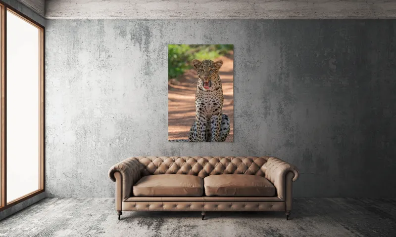 Tablou Canvas, "Leopard odihnindu-se pe potecă însorită", Leopard, Pistrui, Eleganță, Natură, Prădător, Adăpost, Blană, Putere, 100 x 150 cm – poza 6