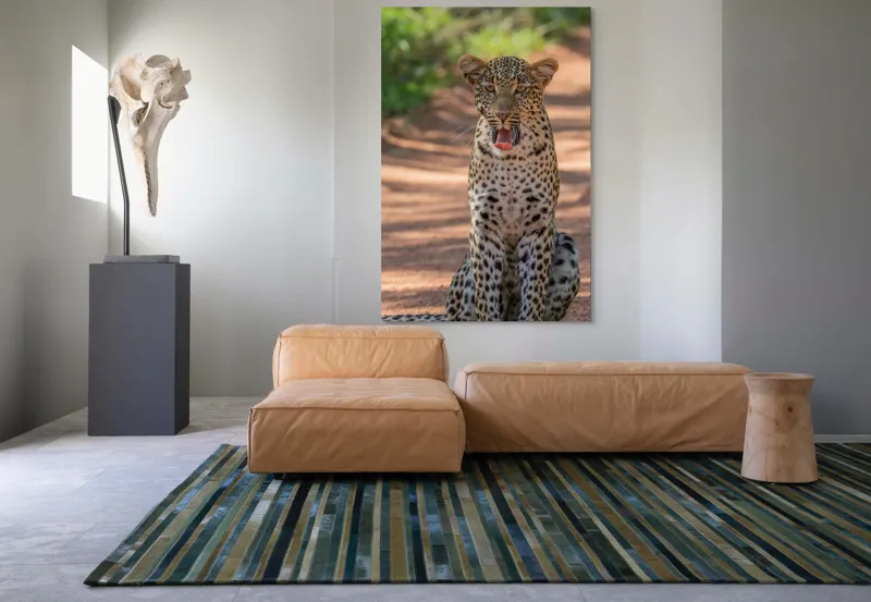 Tablou Canvas, "Leopard odihnindu-se pe potecă însorită", Leopard, Pistrui, Eleganță, Natură, Prădător, Adăpost, Blană, Putere, 100 x 150 cm – poza 7