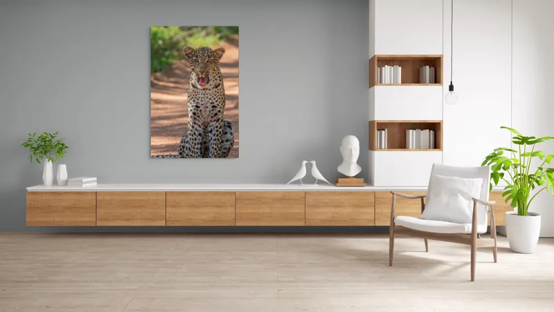 Tablou Canvas, "Leopard odihnindu-se pe potecă însorită", Leopard, Pistrui, Eleganță, Natură, Prădător, Adăpost, Blană, Putere, 100 x 150 cm – poza 8