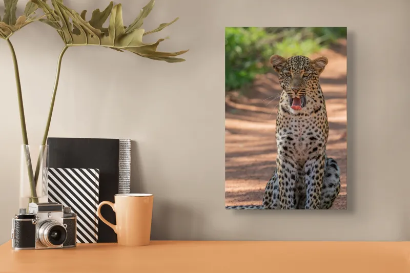 Tablou Canvas, "Leopard odihnindu-se pe potecă însorită", Leopard, Pistrui, Eleganță, Natură, Prădător, Adăpost, Blană, Putere, 26 x 39 cm – poza 3
