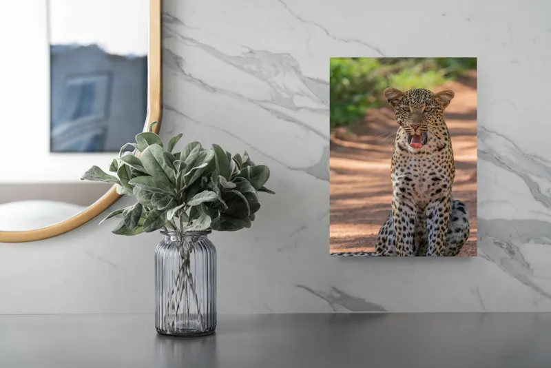 Tablou Canvas, "Leopard odihnindu-se pe potecă însorită", Leopard, Pistrui, Eleganță, Natură, Prădător, Adăpost, Blană, Putere, 26 x 39 cm – poza 4