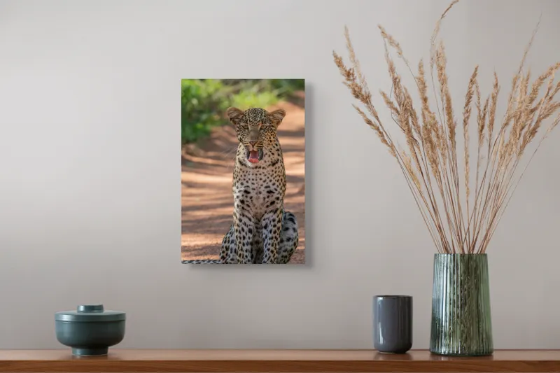 Tablou Canvas, "Leopard odihnindu-se pe potecă însorită", Leopard, Pistrui, Eleganță, Natură, Prădător, Adăpost, Blană, Putere, 26 x 39 cm – poza 5