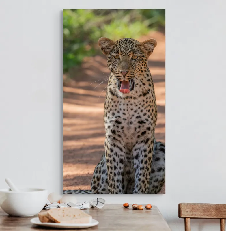 Tablou Canvas, "Leopard odihnindu-se pe potecă însorită", Leopard, Pistrui, Eleganță, Natură, Prădător, Adăpost, Blană, Putere, 50 x 90 cm – poza 3