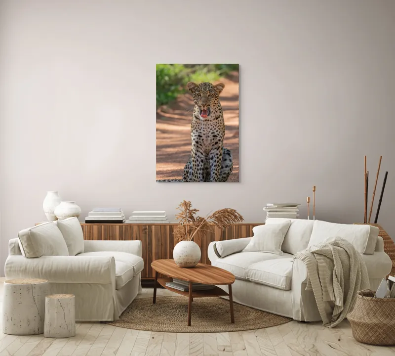 Tablou Canvas, "Leopard odihnindu-se pe potecă însorită", Leopard, Pistrui, Eleganță, Natură, Prădător, Adăpost, Blană, Putere, 70 x 100 cm – poza 4