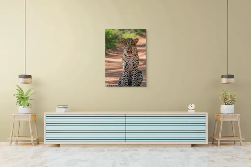 Tablou Canvas, "Leopard odihnindu-se pe potecă însorită", Leopard, Pistrui, Eleganță, Natură, Prădător, Adăpost, Blană, Putere, 70 x 100 cm – poza 5
