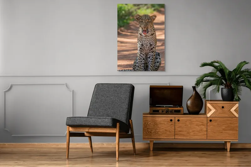 Tablou Canvas, "Leopard odihnindu-se pe potecă însorită", Leopard, Pistrui, Eleganță, Natură, Prădător, Adăpost, Blană, Putere, 70 x 100 cm – poza 6