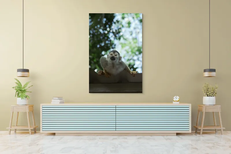 Tablou Canvas, "Maimuța contemplând cerul cu voie bună", Maimuță, Frunze, Cer, Bokeh, Gri, Blană, Lumină, Privire, 100 x 150 cm – poza 4