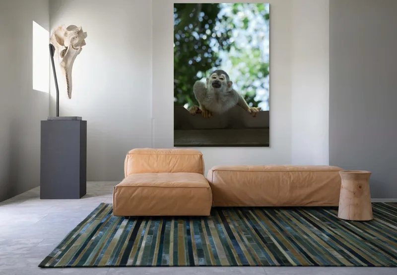 Tablou Canvas, "Maimuța contemplând cerul cu voie bună", Maimuță, Frunze, Cer, Bokeh, Gri, Blană, Lumină, Privire, 100 x 150 cm – poza 7