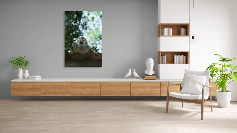 Tablou Canvas, "Maimuța contemplând cerul cu voie bună", Maimuță, Frunze, Cer, Bokeh, Gri, Blană, Lumină, Privire, 100 x 150 cm – poza 8