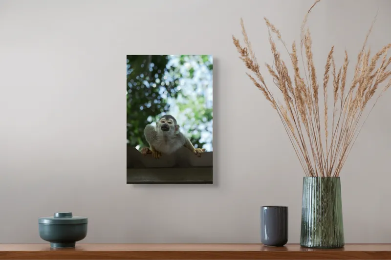 Tablou Canvas, "Maimuța contemplând cerul cu voie bună", Maimuță, Frunze, Cer, Bokeh, Gri, Blană, Lumină, Privire, 26 x 39 cm – poza 5