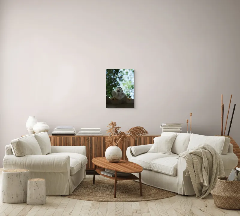 Tablou Canvas, "Maimuța contemplând cerul cu voie bună", Maimuță, Frunze, Cer, Bokeh, Gri, Blană, Lumină, Privire, 39 x 54 cm – poza 5