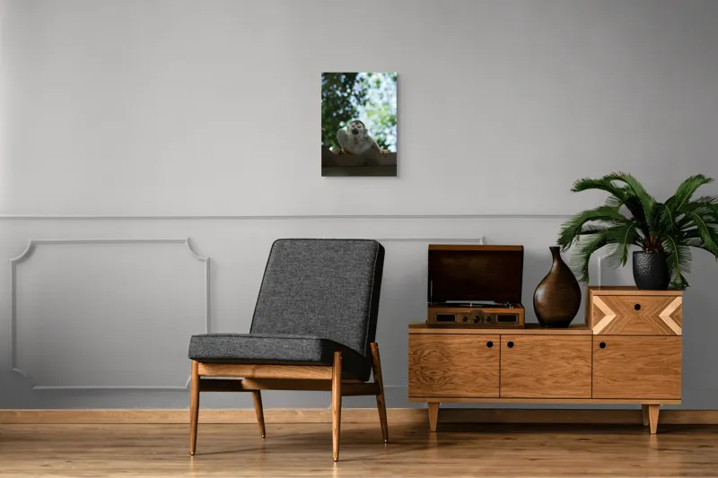 Tablou Canvas, "Maimuța contemplând cerul cu voie bună", Maimuță, Frunze, Cer, Bokeh, Gri, Blană, Lumină, Privire, 39 x 54 cm – poza 8