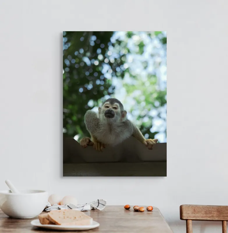 Tablou Canvas, "Maimuța contemplând cerul cu voie bună", Maimuță, Frunze, Cer, Bokeh, Gri, Blană, Lumină, Privire, 50 x 70 cm – poza 3