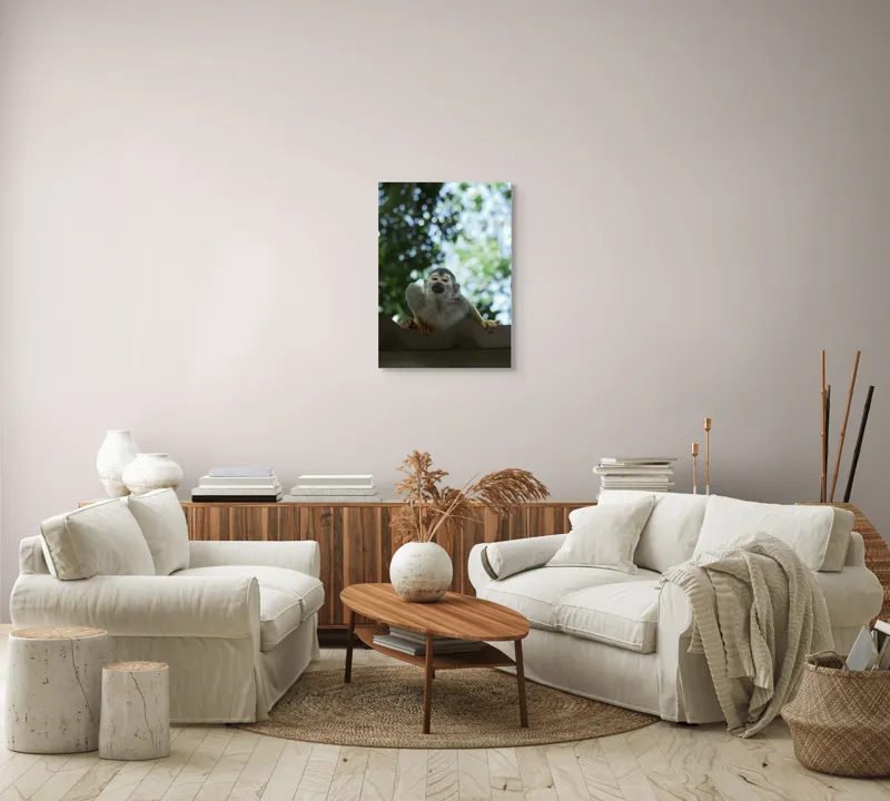 Tablou Canvas, "Maimuța contemplând cerul cu voie bună", Maimuță, Frunze, Cer, Bokeh, Gri, Blană, Lumină, Privire, 50 x 70 cm – poza 4