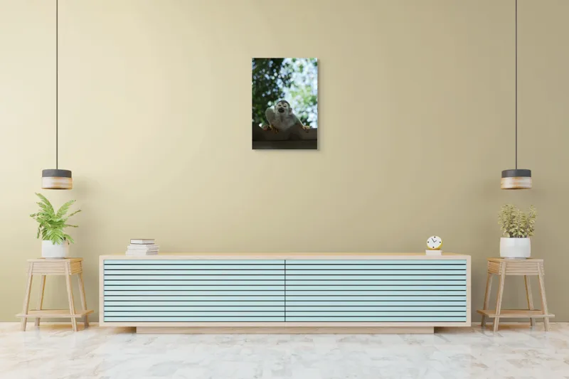 Tablou Canvas, "Maimuța contemplând cerul cu voie bună", Maimuță, Frunze, Cer, Bokeh, Gri, Blană, Lumină, Privire, 50 x 70 cm – poza 6