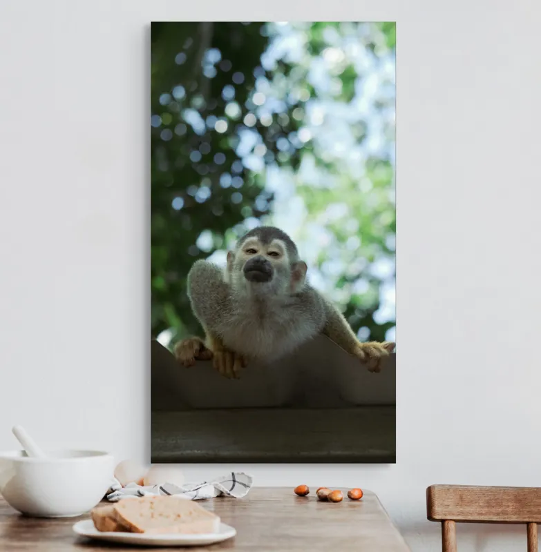 Tablou Canvas, "Maimuța contemplând cerul cu voie bună", Maimuță, Frunze, Cer, Bokeh, Gri, Blană, Lumină, Privire, 50 x 90 cm – poza 3