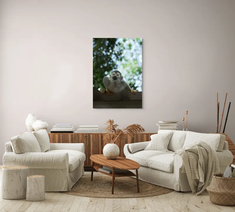 Tablou Canvas, "Maimuța contemplând cerul cu voie bună", Maimuță, Frunze, Cer, Bokeh, Gri, Blană, Lumină, Privire, 70 x 100 cm – poza 4