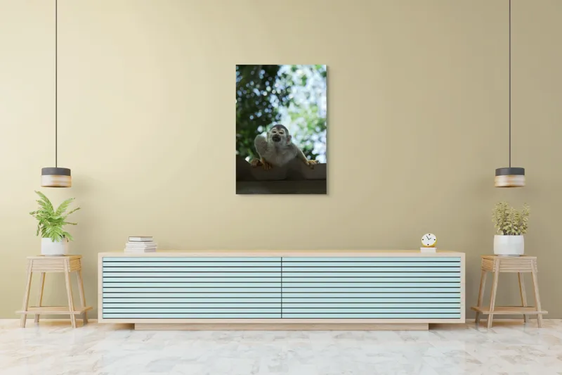Tablou Canvas, "Maimuța contemplând cerul cu voie bună", Maimuță, Frunze, Cer, Bokeh, Gri, Blană, Lumină, Privire, 70 x 100 cm – poza 5