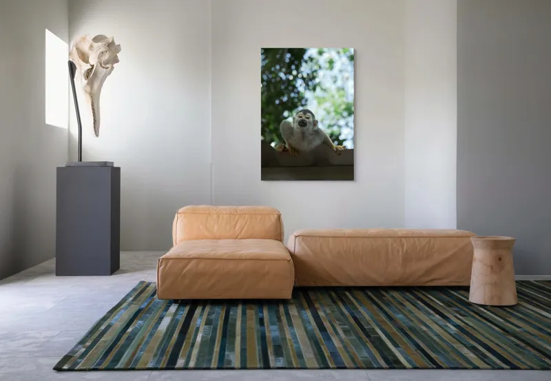 Tablou Canvas, "Maimuța contemplând cerul cu voie bună", Maimuță, Frunze, Cer, Bokeh, Gri, Blană, Lumină, Privire, 70 x 100 cm – poza 7