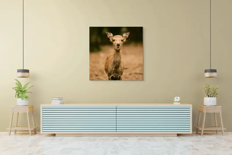 Tablou Canvas, "Pui de cerb în lumina pădurii", Nu cunosc cine este în imagine., 100 x 100 cm – poza 5