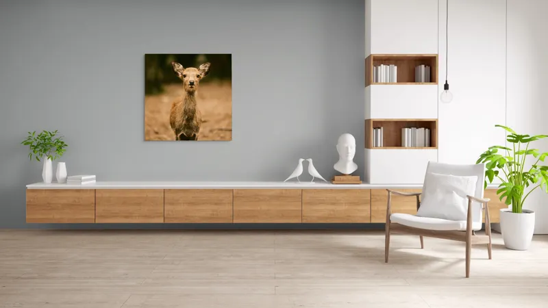 Tablou Canvas, "Pui de cerb în lumina pădurii", Nu cunosc cine este în imagine., 100 x 100 cm – poza 8