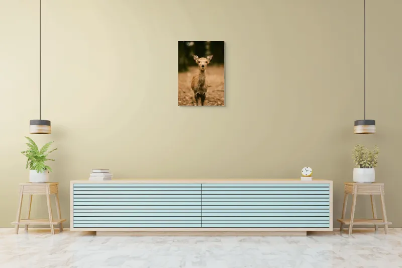 Tablou Canvas, "Pui de cerb în lumina pădurii", Nu cunosc cine este în imagine., 50 x 70 cm – poza 6