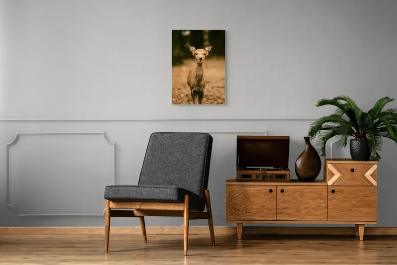 Tablou Canvas, "Pui de cerb în lumina pădurii", Nu cunosc cine este în imagine., 50 x 70 cm – poza 8