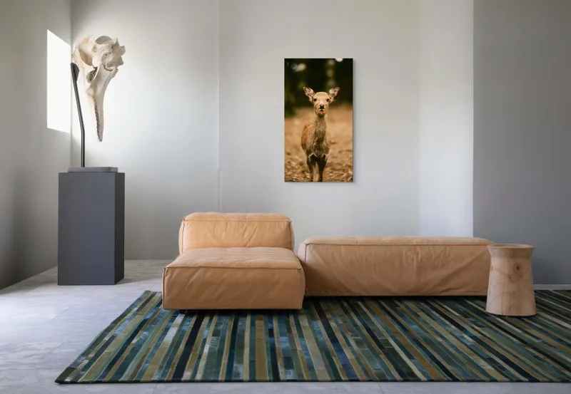Tablou Canvas, "Pui de cerb în lumina pădurii", Nu cunosc cine este în imagine., 50 x 90 cm – poza 5