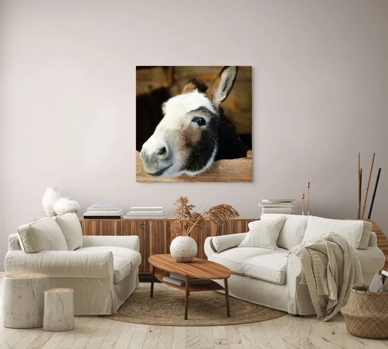 Tablou Canvas, "Măgărușul din grajdul liniștit", Nu știu cine este în imagine., 100 x 100 cm – poza 3