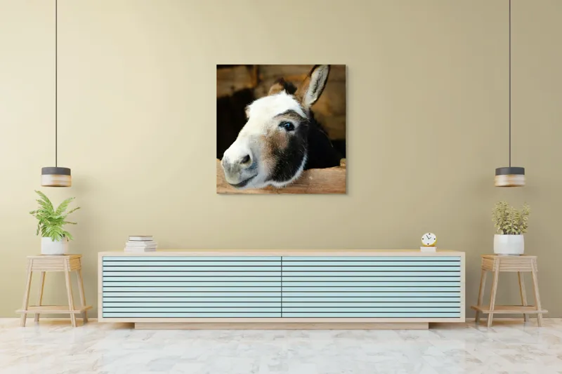 Tablou Canvas, "Măgărușul din grajdul liniștit", Nu știu cine este în imagine., 100 x 100 cm – poza 5