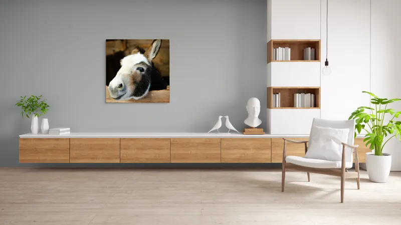 Tablou Canvas, "Măgărușul din grajdul liniștit", Nu știu cine este în imagine., 100 x 100 cm – poza 8