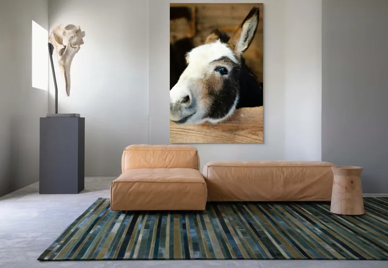 Tablou Canvas, "Măgărușul din grajdul liniștit", Nu știu cine este în imagine., 100 x 150 cm – poza 7