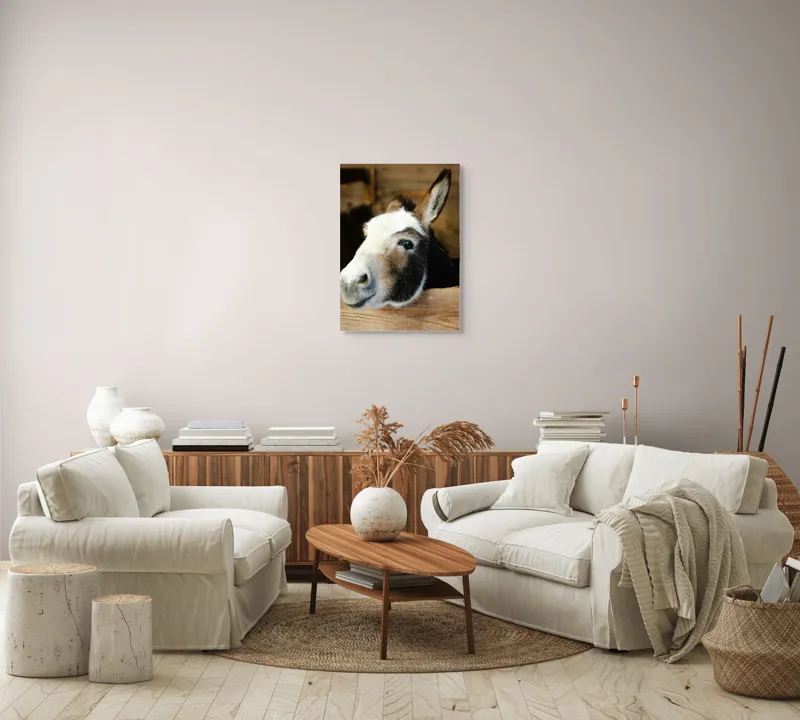 Tablou Canvas, "Măgărușul din grajdul liniștit", Nu știu cine este în imagine., 50 x 70 cm – poza 4