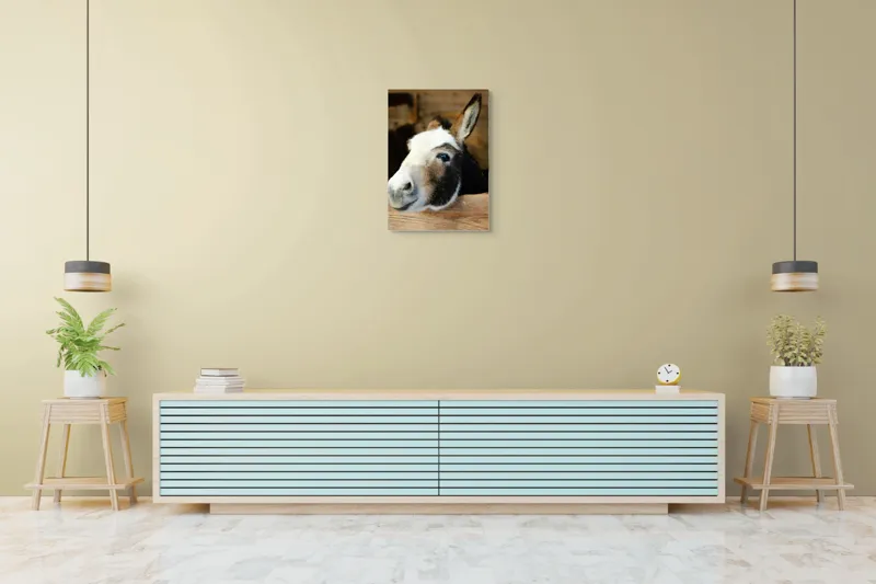 Tablou Canvas, "Măgărușul din grajdul liniștit", Nu știu cine este în imagine., 50 x 70 cm – poza 6