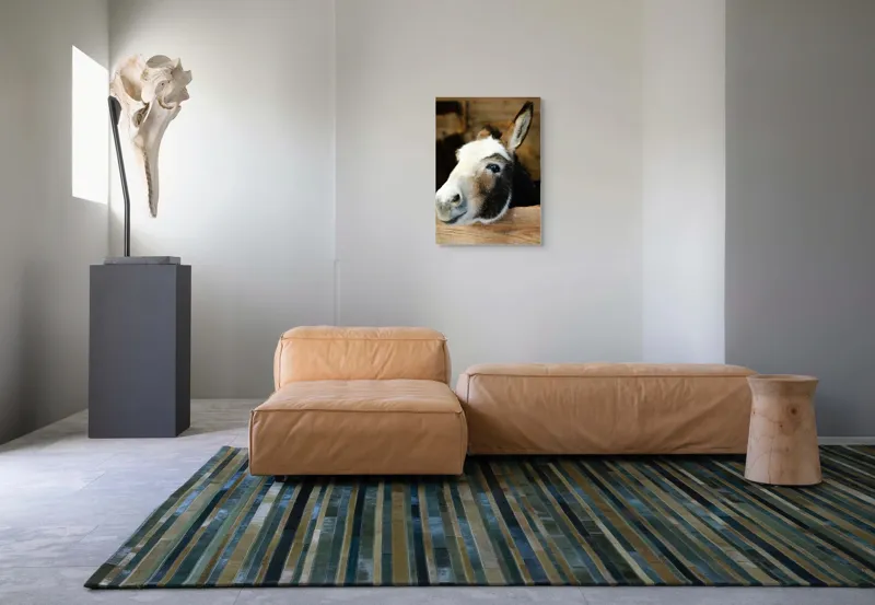 Tablou Canvas, "Măgărușul din grajdul liniștit", Nu știu cine este în imagine., 50 x 70 cm – poza 7