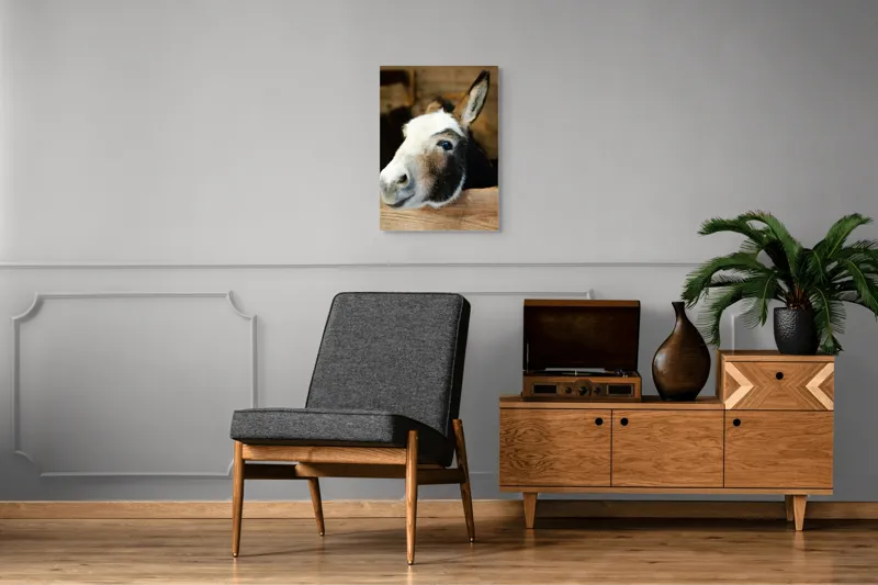 Tablou Canvas, "Măgărușul din grajdul liniștit", Nu știu cine este în imagine., 50 x 70 cm – poza 8