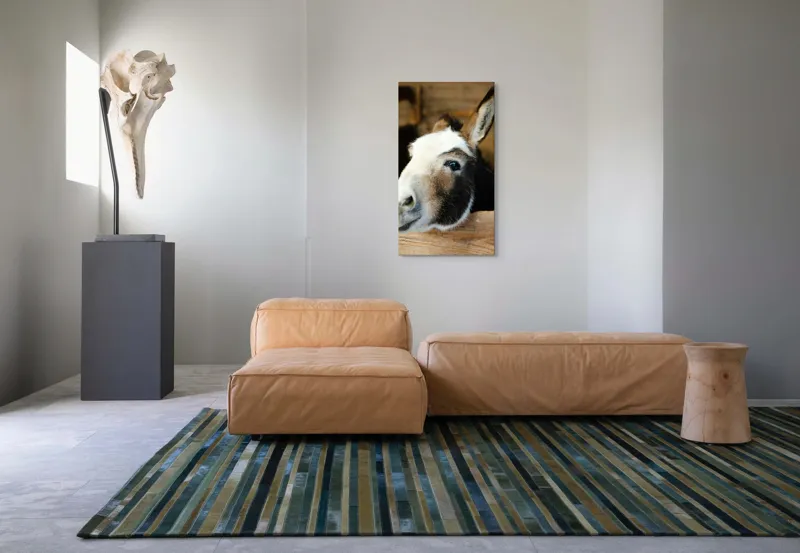 Tablou Canvas, "Măgărușul din grajdul liniștit", Nu știu cine este în imagine., 50 x 90 cm – poza 5